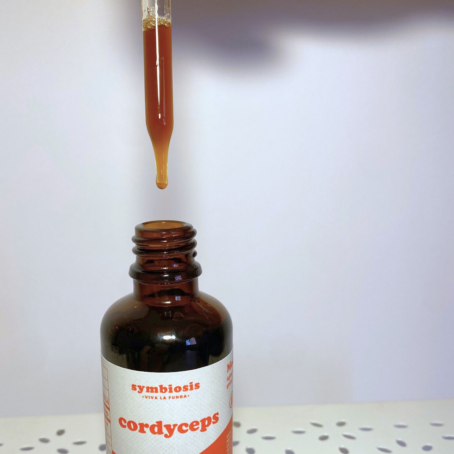 Cordyceps - Extracto en Líquido 50Ml