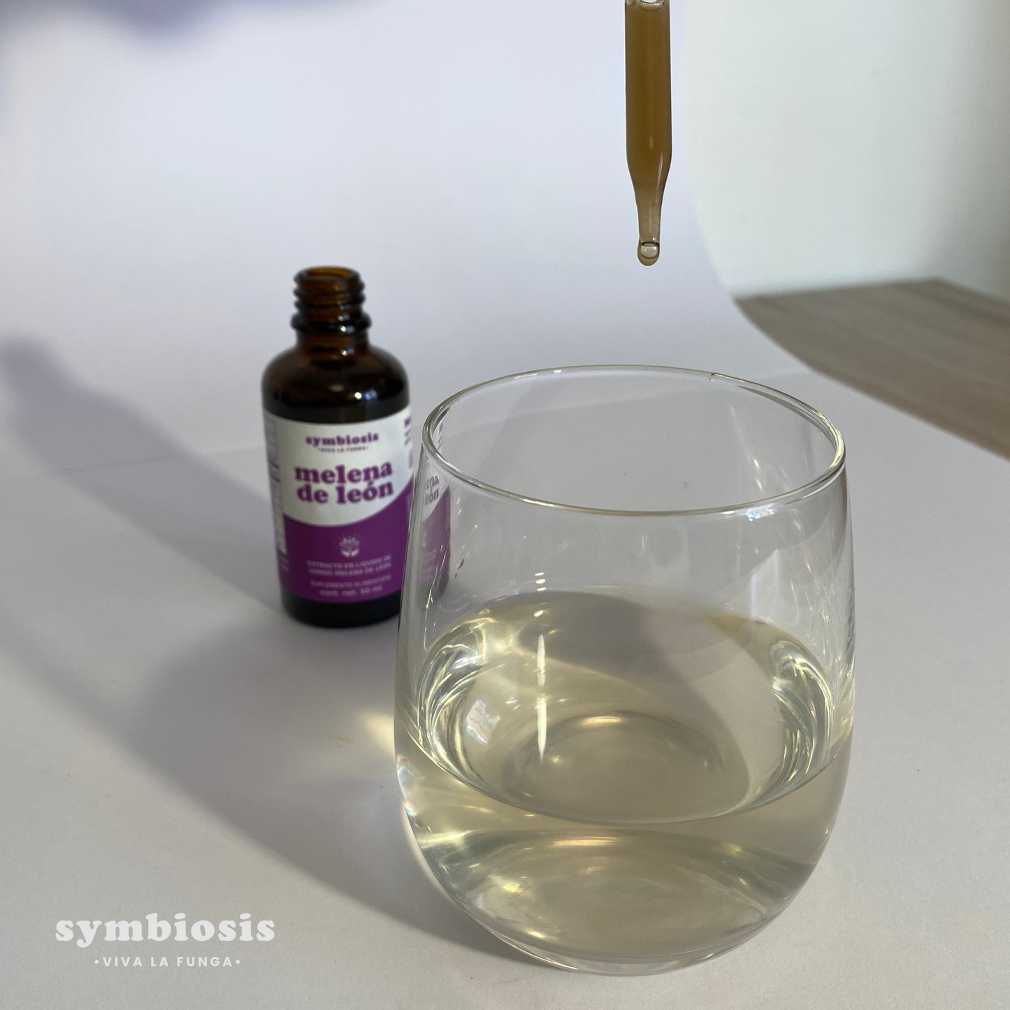 Melena de León - Extracto en Líquido 50ml