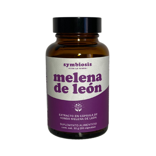 Melena de León - Extracto en Cápsula 30g