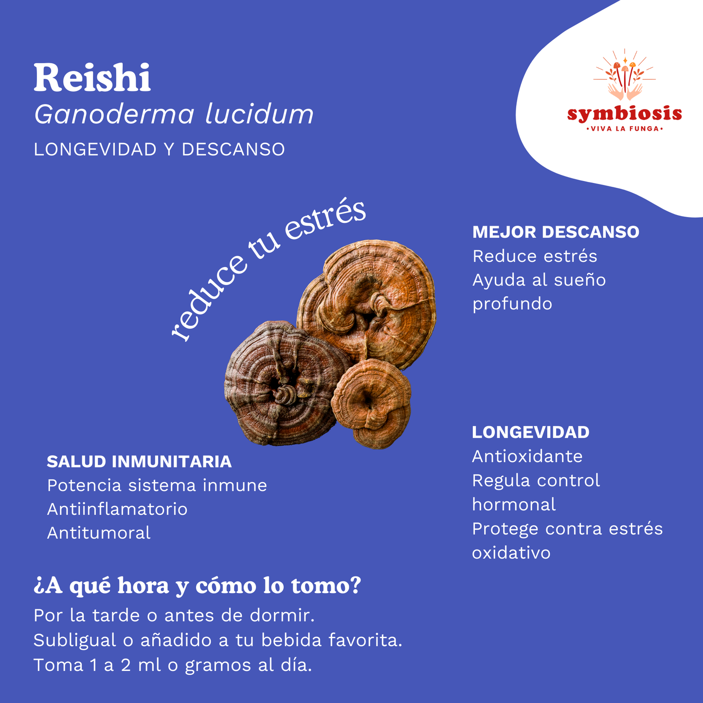 Reishi - Extracto en Líquido 50ml