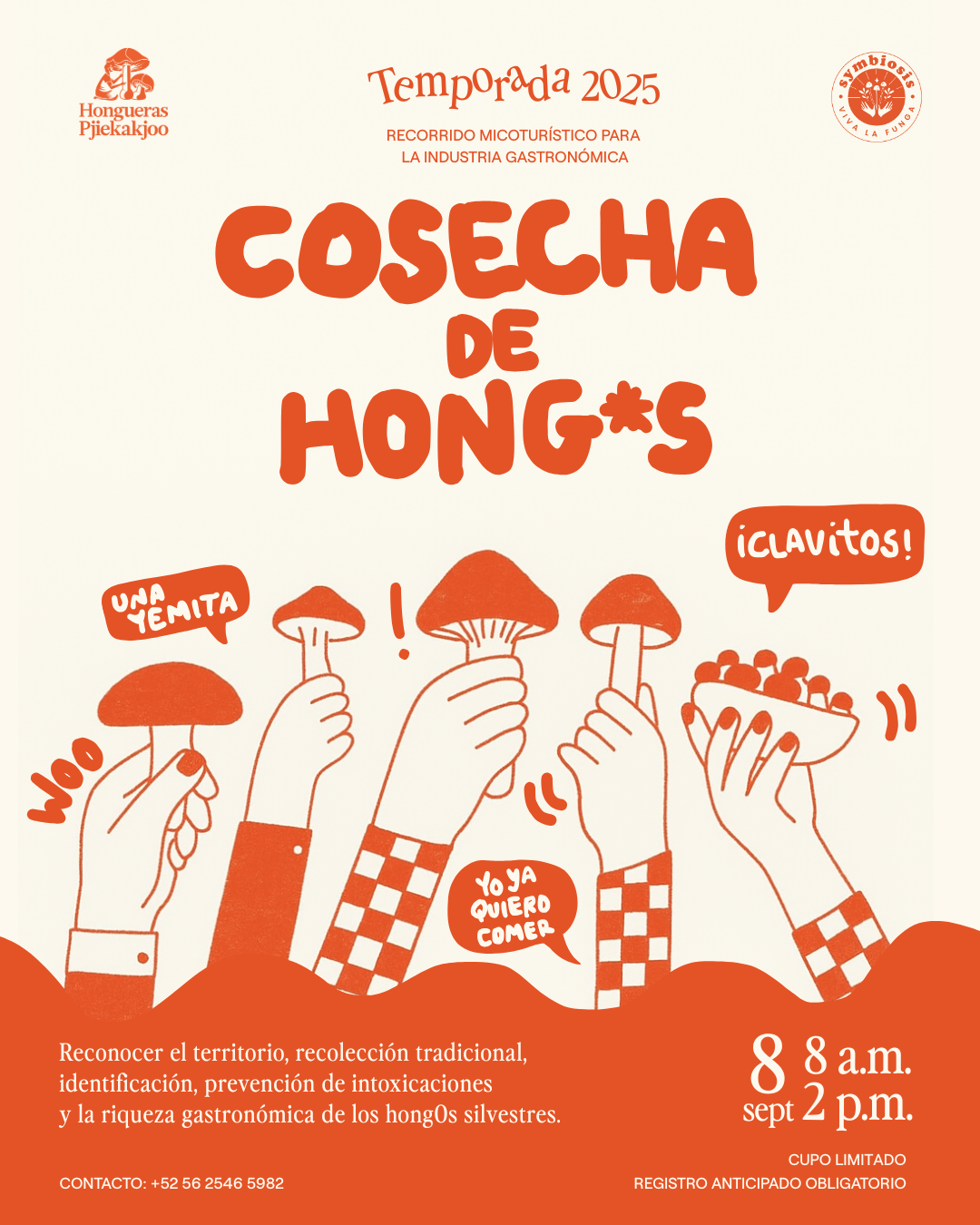 8 de Septiembre - Recorrido Micogastronómico