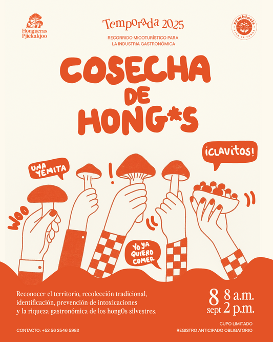 8 de Septiembre - Recorrido Micogastronómico